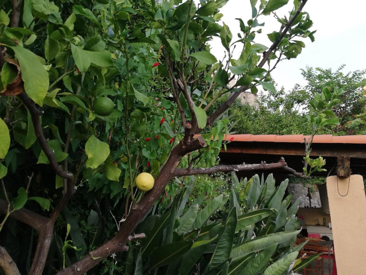 Appartamento Maison Trucchi *