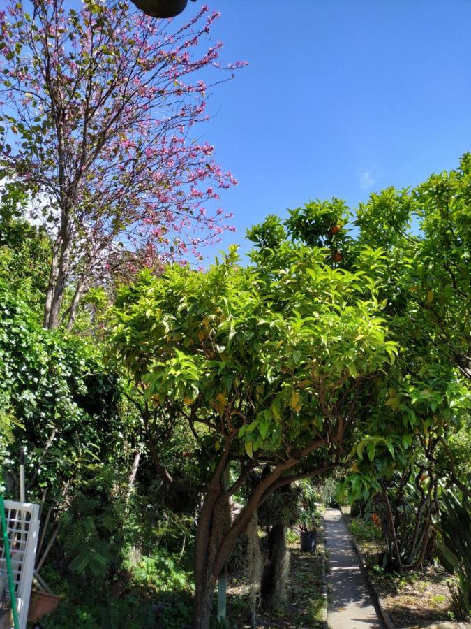 Appartamento Maison Trucchi *